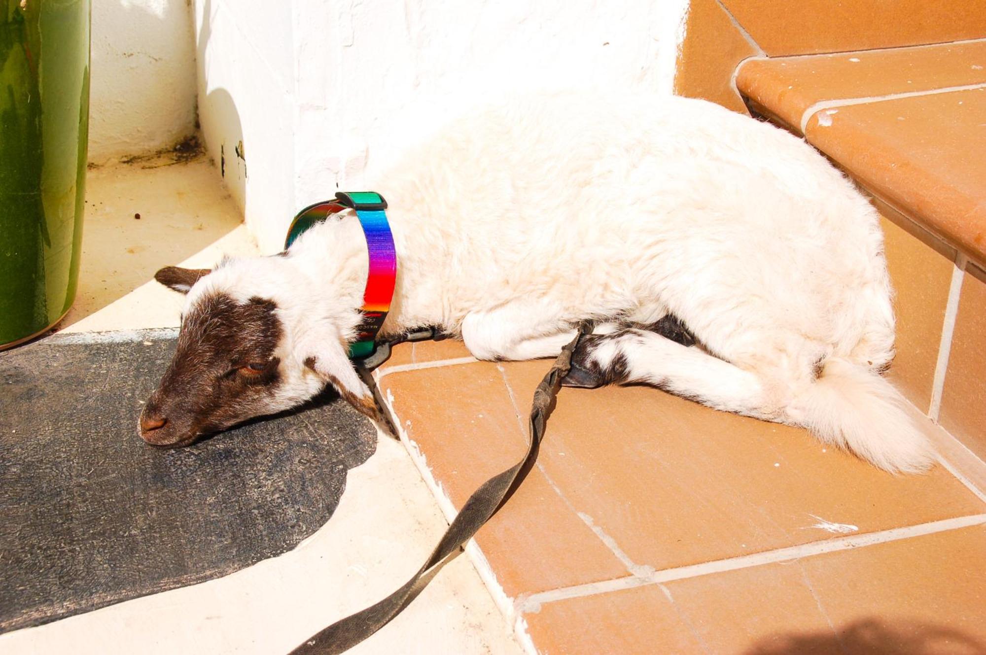 Casa Rural Ga7Colores Only Adult Montana Blanca Dış mekan fotoğraf